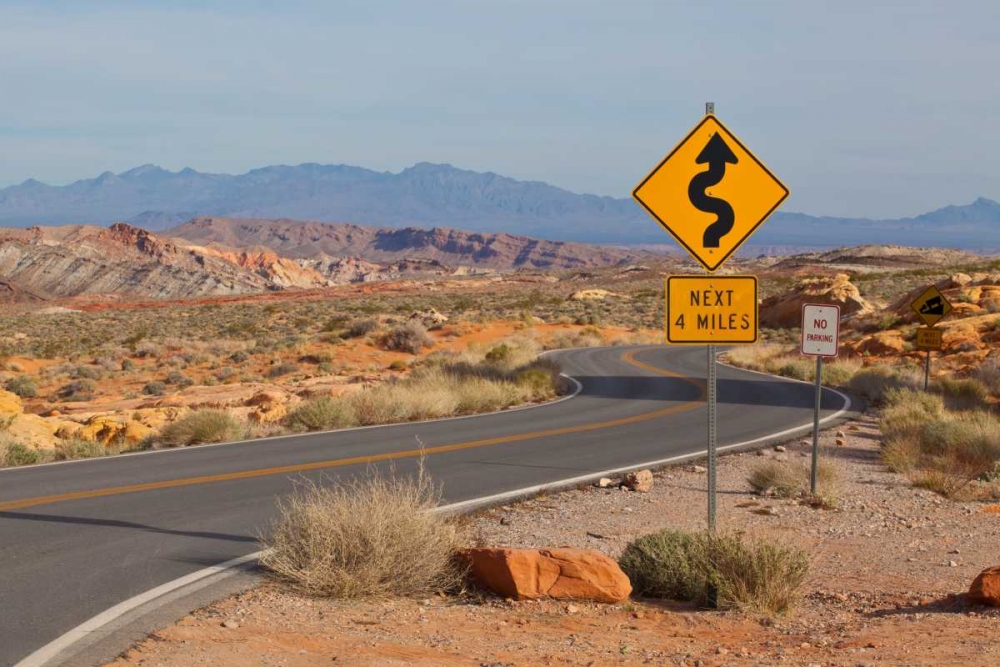 Desert Roads I art print by Lee Peterson for $57.95 CAD