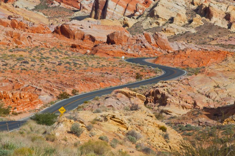 Desert Roads II art print by Lee Peterson for $57.95 CAD