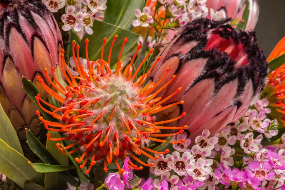Tropical Bouquet I art print by Lee Peterson for $57.95 CAD