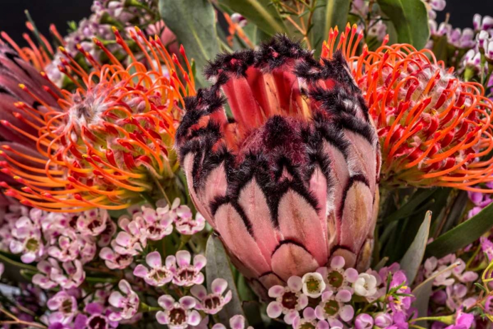 Tropical Bouquet II art print by Lee Peterson for $57.95 CAD
