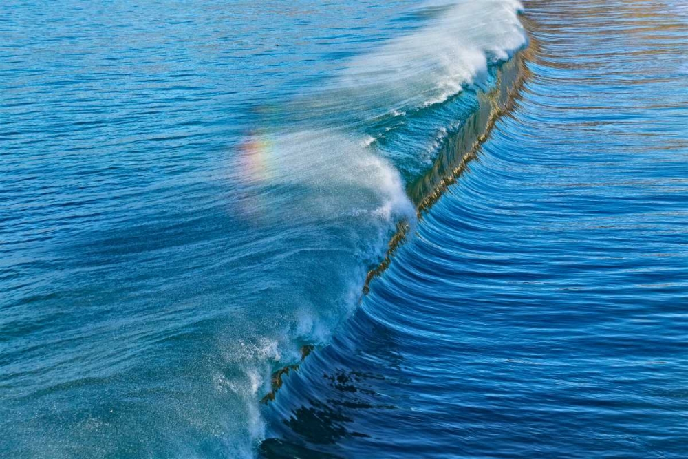 Rainbow Wave I art print by Lee Peterson for $57.95 CAD