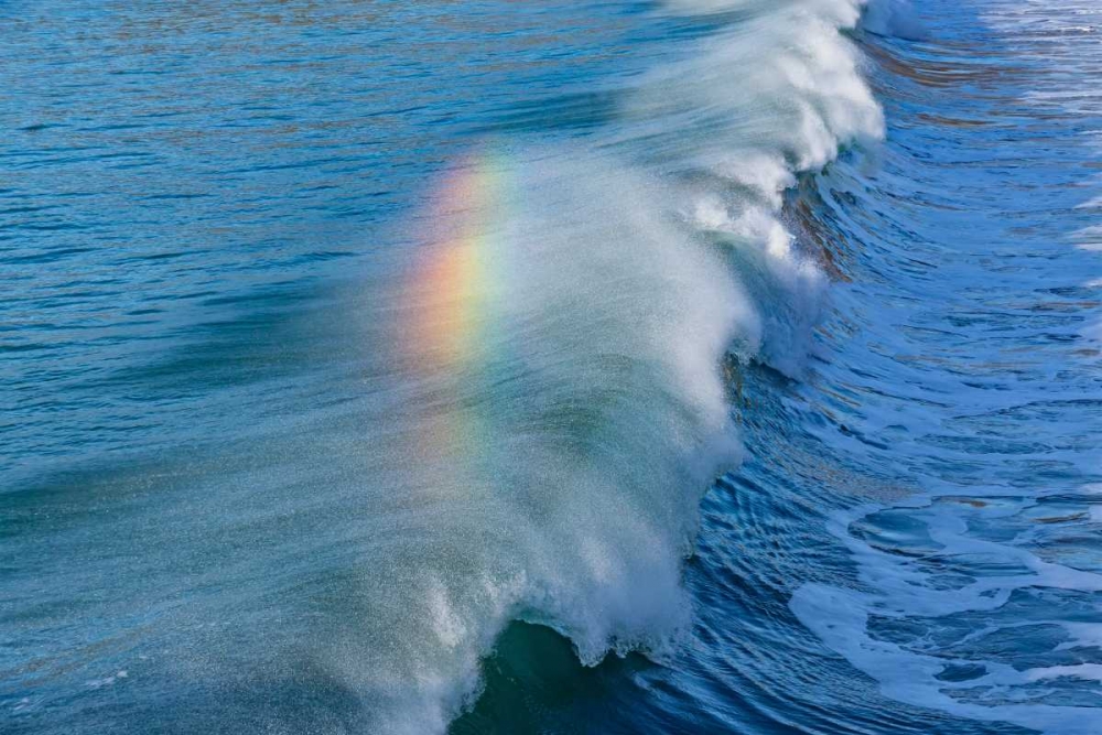 Rainbow Wave II art print by Lee Peterson for $57.95 CAD