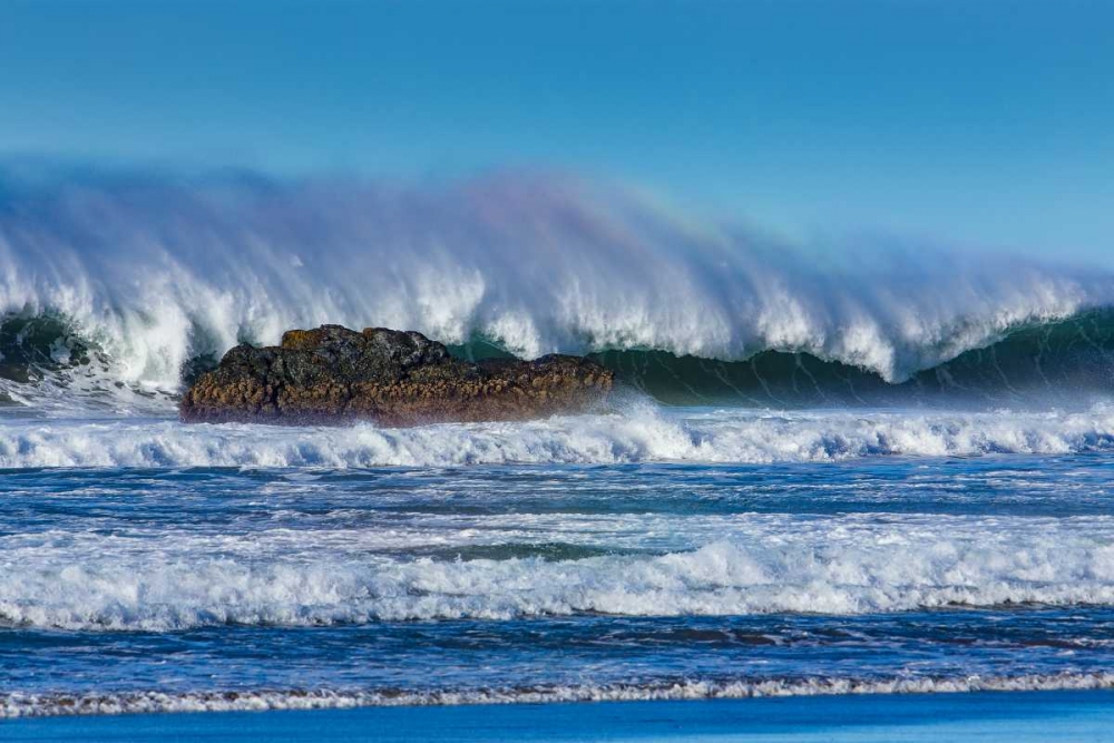Waves in Cayucos I art print by Lee Peterson for $57.95 CAD