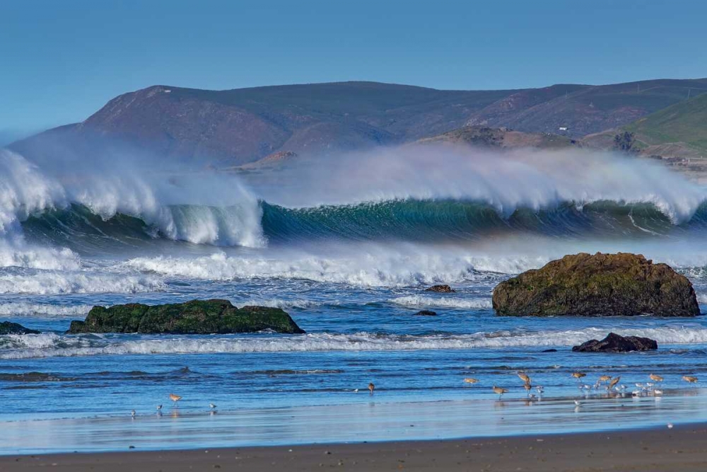 Waves in Cayucos II art print by Lee Peterson for $57.95 CAD