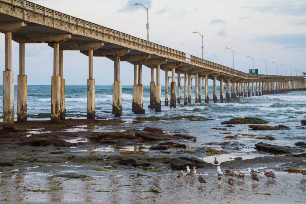 Ocean Beach Pier I art print by Lee Peterson for $57.95 CAD