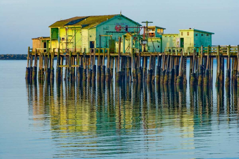 Half Moon Bay Pier art print by Lee Peterson for $57.95 CAD