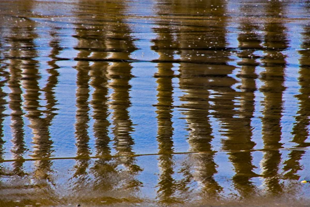 Pier Reflections II art print by Lee Peterson for $57.95 CAD