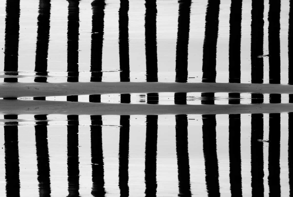 Reflected Dual Pilings art print by Lee Peterson for $57.95 CAD