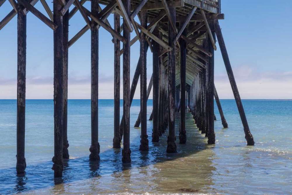 San Simeon Pier III art print by Lee Peterson for $57.95 CAD