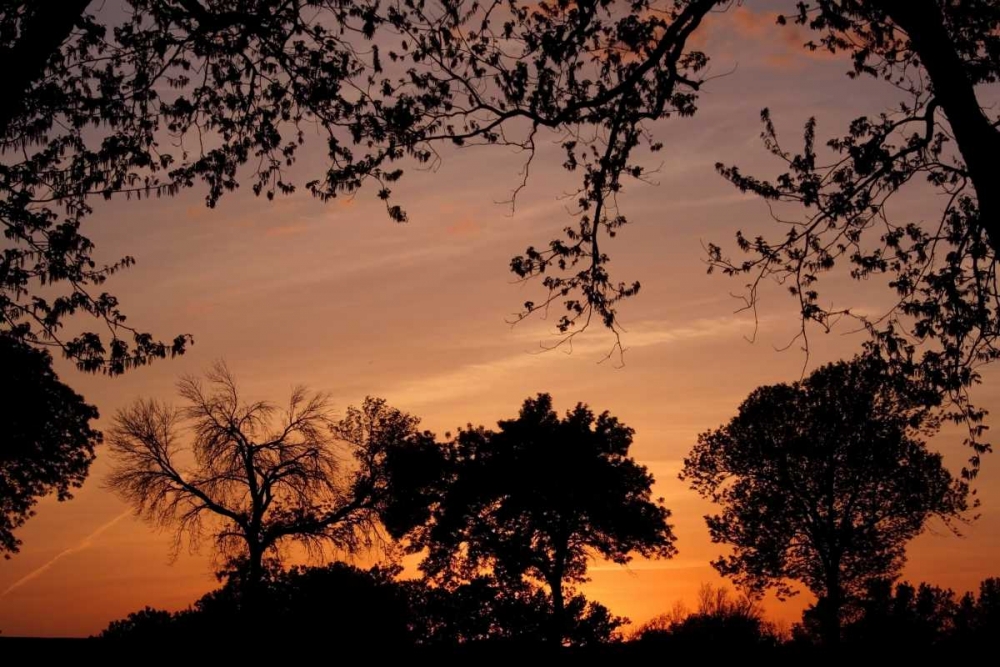 Unity Sunset art print by Tammy Putman for $57.95 CAD