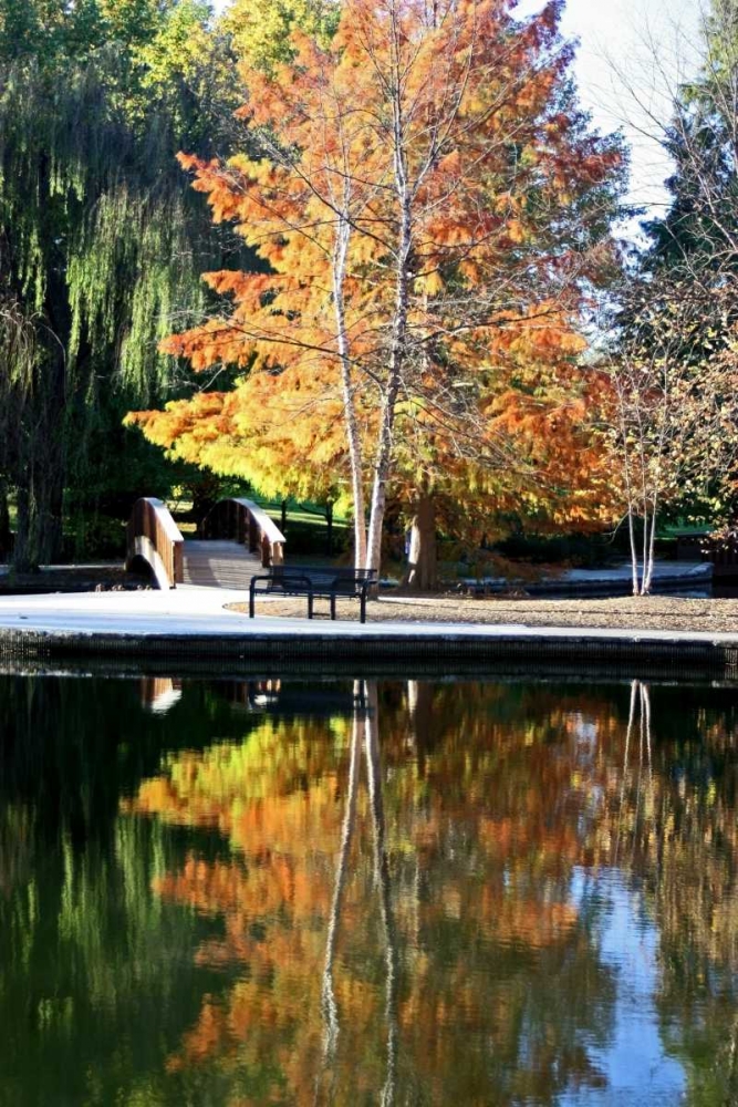 Fall Colors art print by Tammy Putman for $57.95 CAD