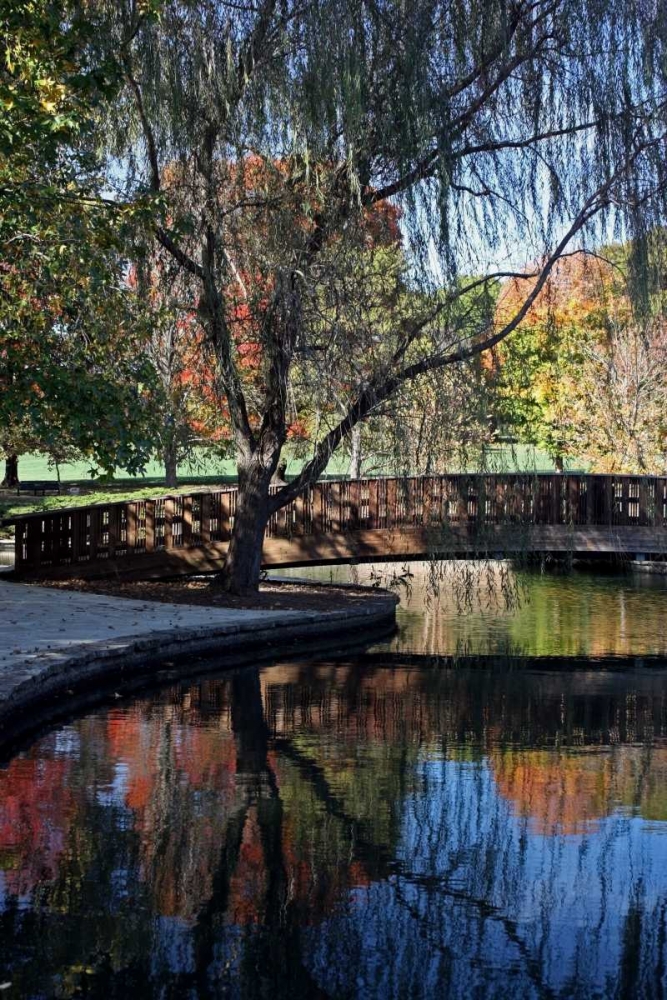 Fall Reflection art print by Tammy Putman for $57.95 CAD
