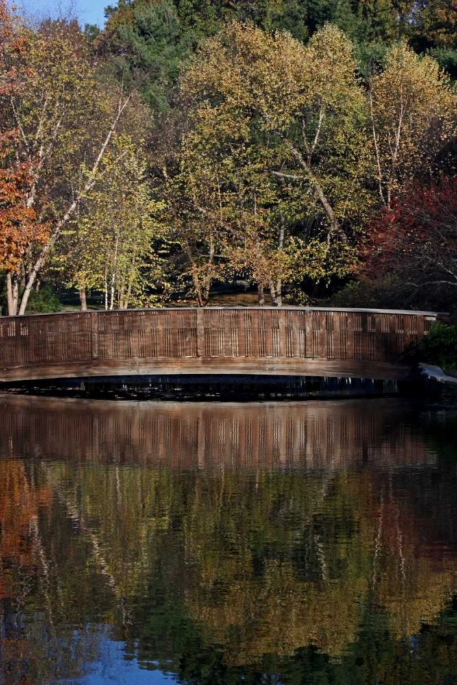 Bridge in Fall I art print by Tammy Putman for $57.95 CAD