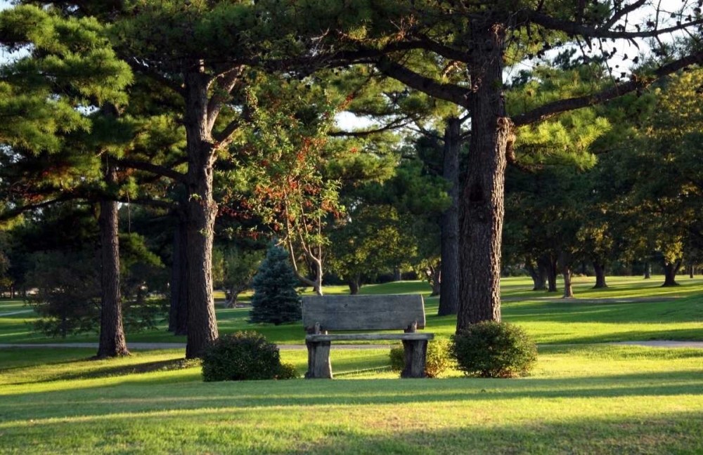 Bench I art print by Tammy Putman for $57.95 CAD