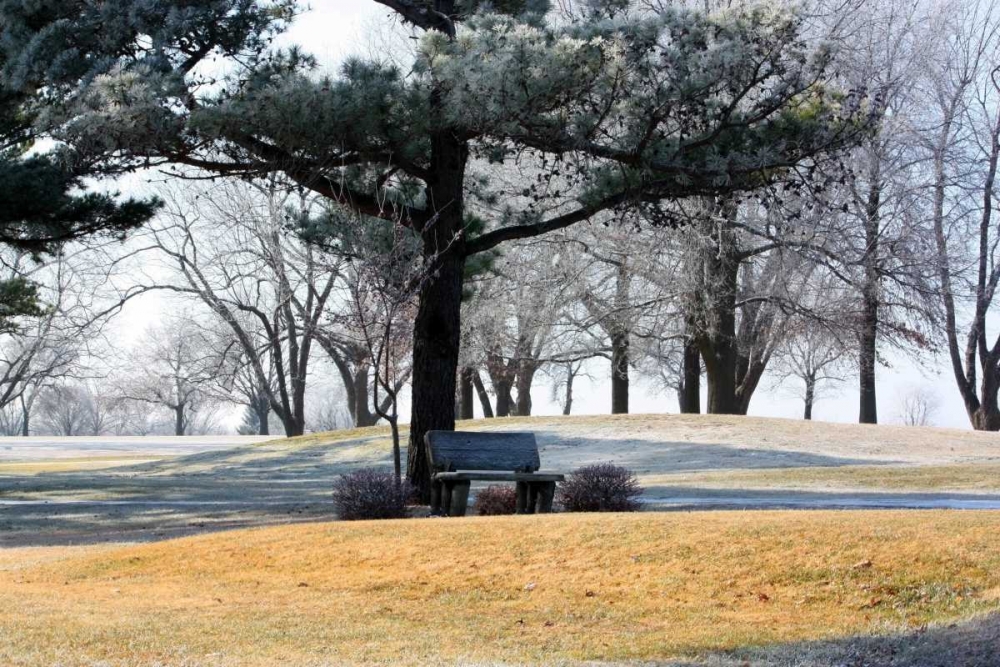 Bench II art print by Tammy Putman for $57.95 CAD