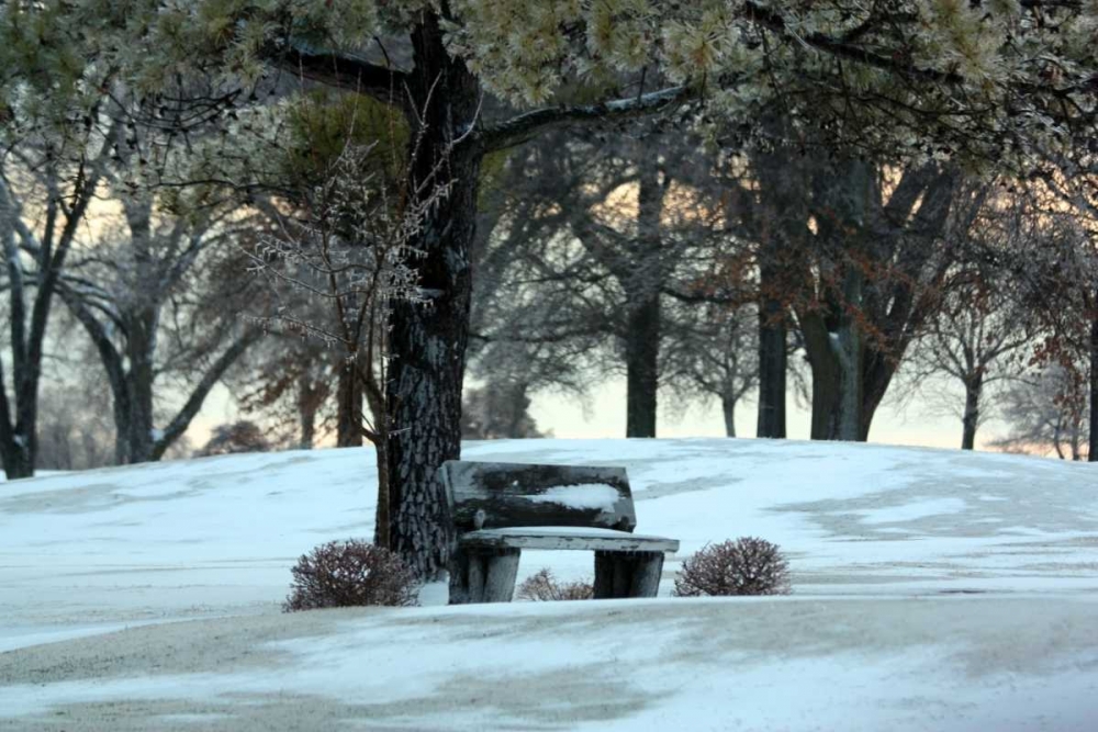Bench III art print by Tammy Putman for $57.95 CAD