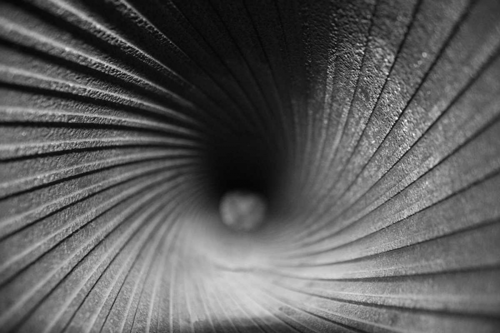 Inside a Howitzer art print by Tammy Putman for $57.95 CAD