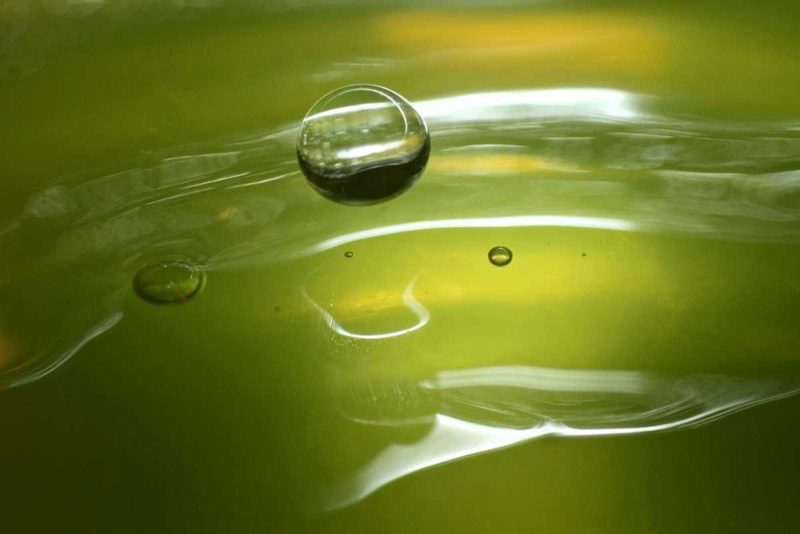 Lemon Lime Drop II art print by Tammy Putman for $57.95 CAD