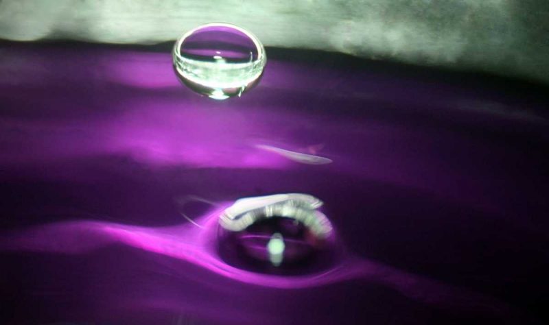 Grape Drink Drop I art print by Tammy Putman for $57.95 CAD