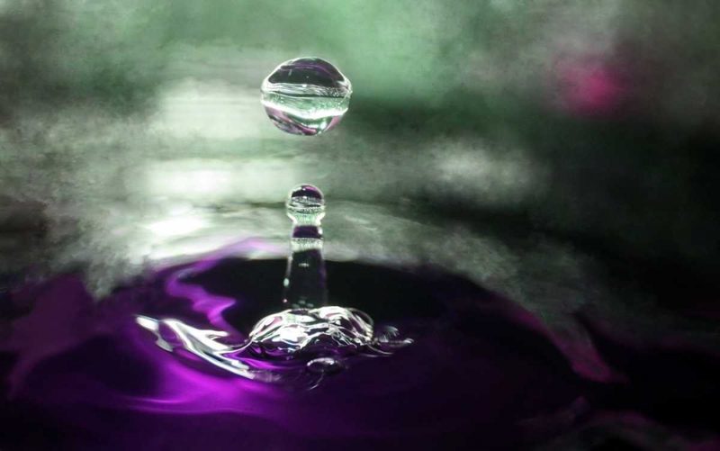 Grape Drink Drop III art print by Tammy Putman for $57.95 CAD