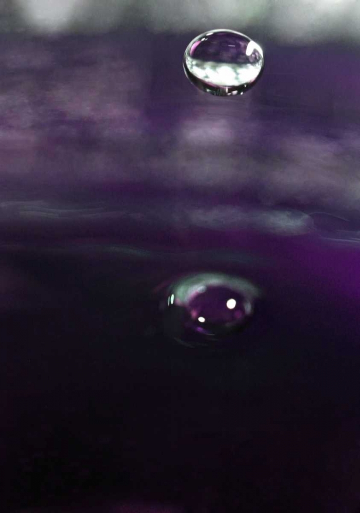 Grape Drink Drop IV art print by Tammy Putman for $57.95 CAD