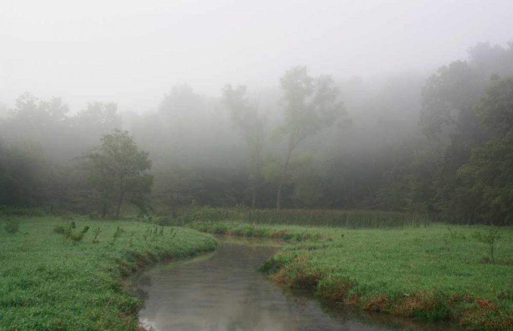 Creek in Fog I art print by Tammy Putman for $57.95 CAD