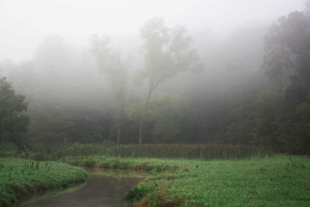 Creek in Fog II art print by Tammy Putman for $57.95 CAD