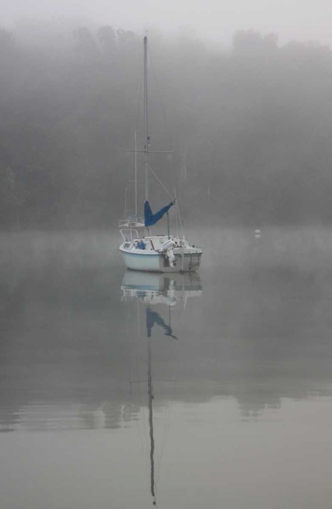 Blue Sail art print by Tammy Putman for $57.95 CAD