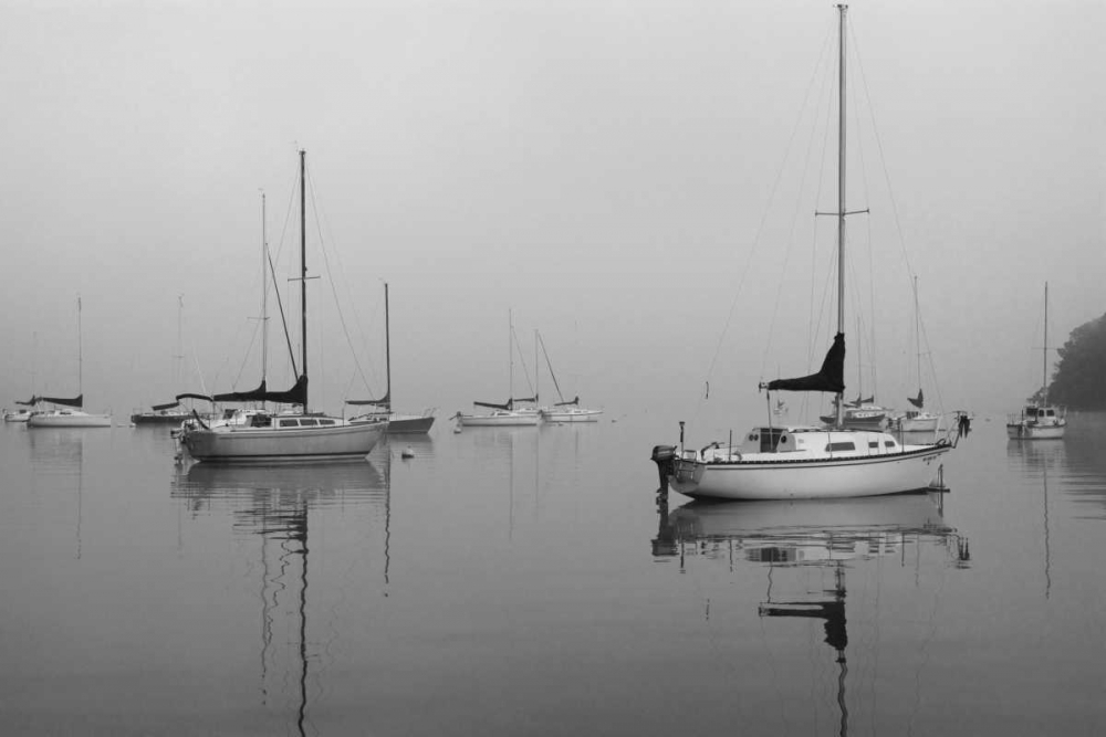 Across the Lake art print by Tammy Putman for $57.95 CAD