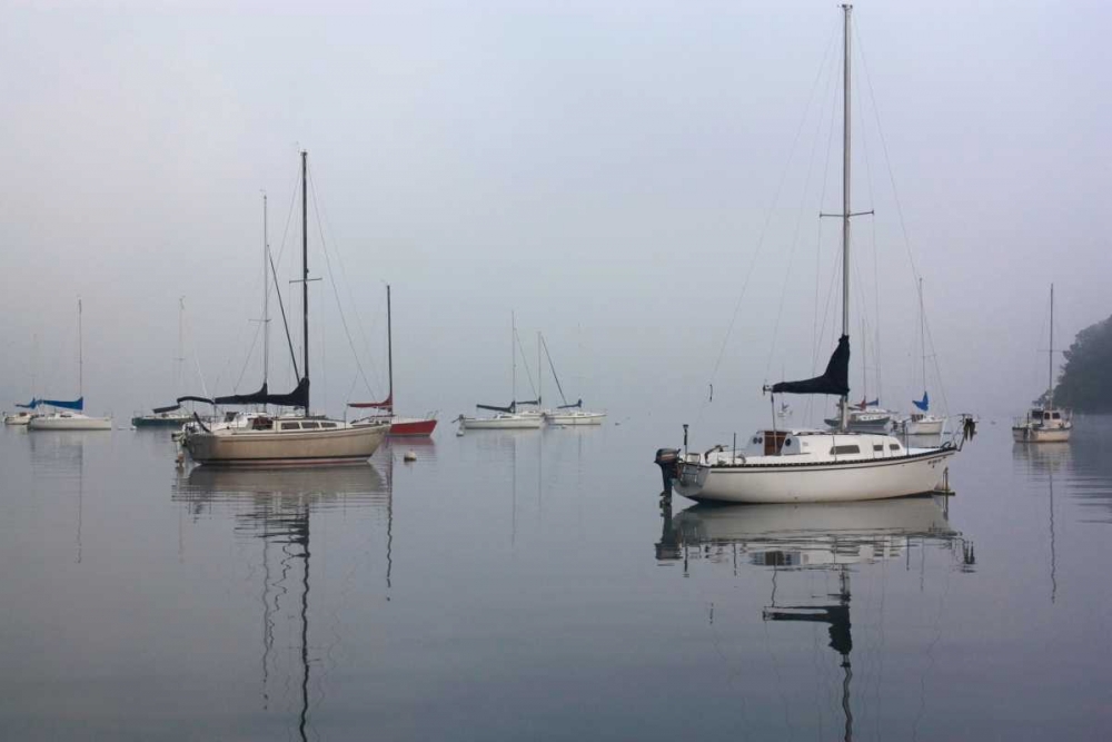 Across the Lake art print by Tammy Putman for $57.95 CAD