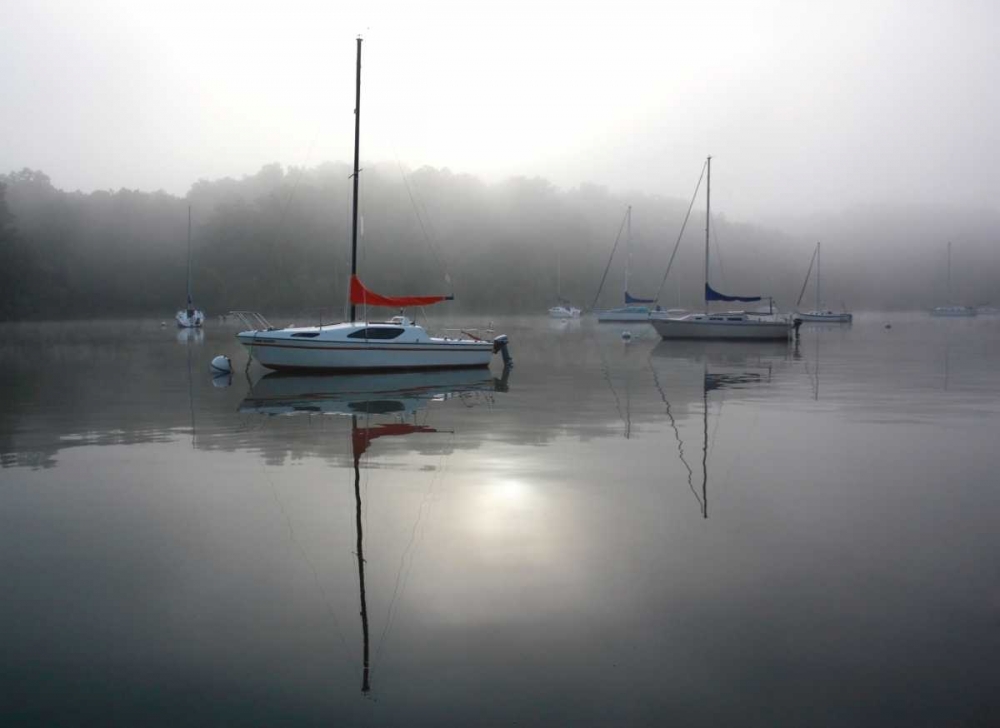Red Sail art print by Tammy Putman for $57.95 CAD
