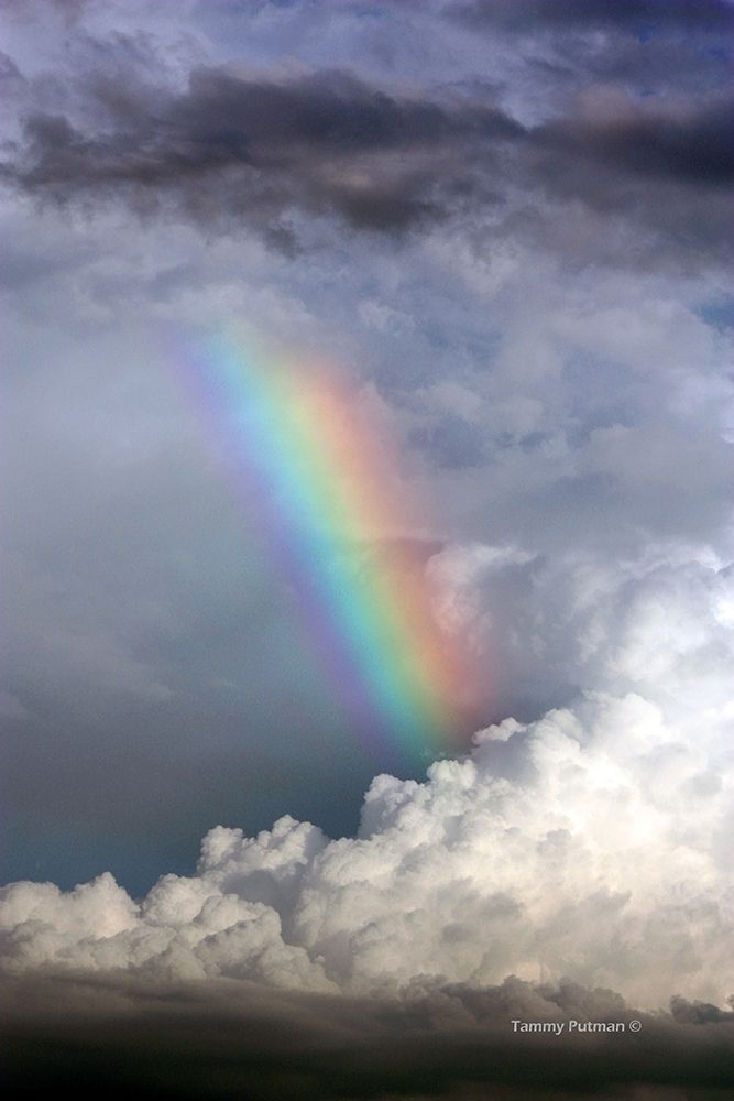 Rainbow in the Clouds art print by Tammy Putman for $57.95 CAD