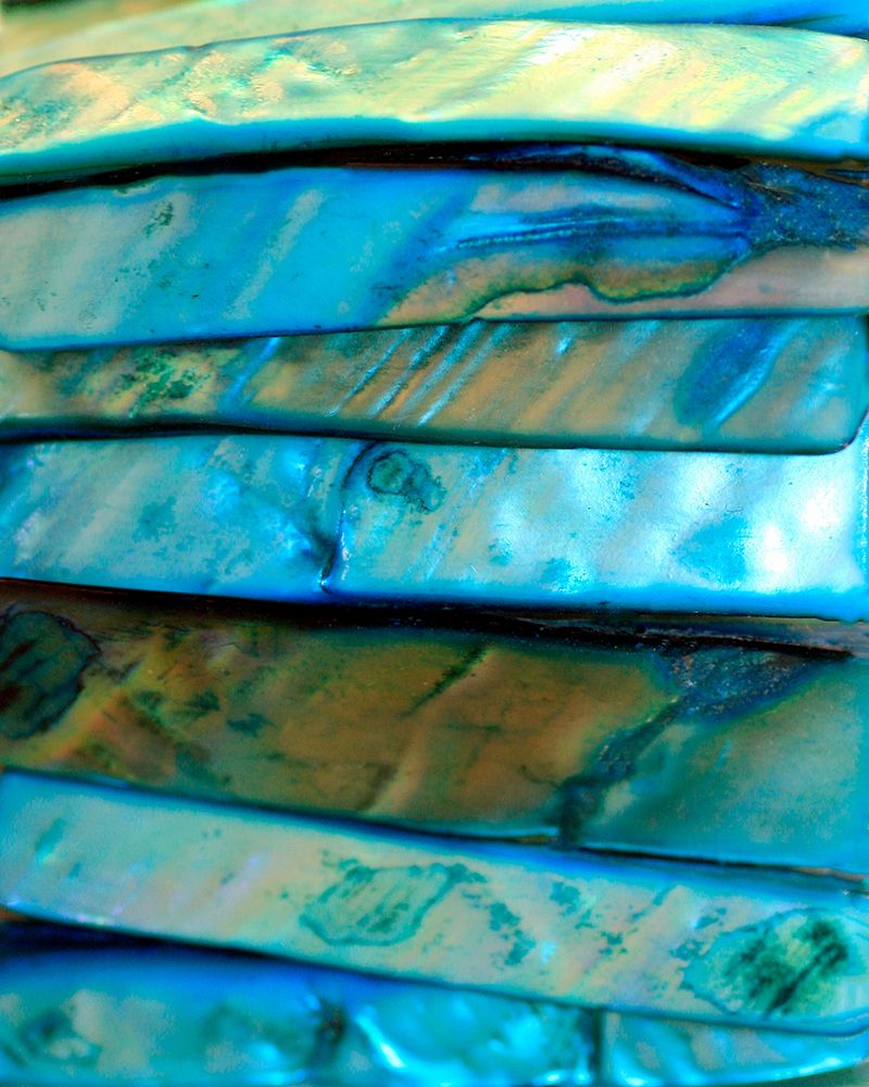 Shell Be Blue I art print by Tammy Putman for $57.95 CAD