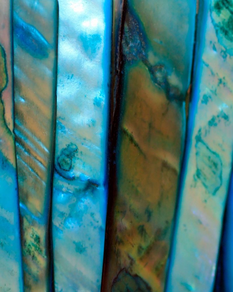 Shell Be Blue II art print by Tammy Putman for $57.95 CAD