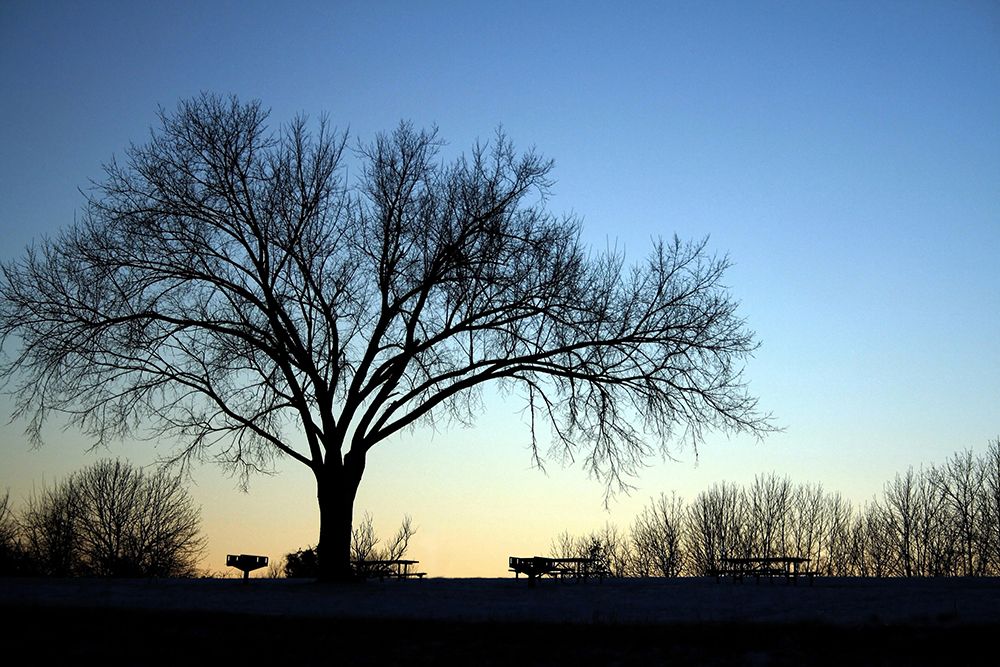 Longview October Sunset art print by Tammy Putman for $57.95 CAD