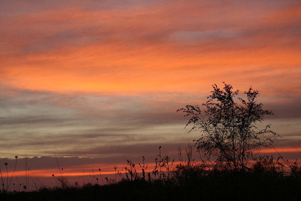 Peaceful Sunset art print by Tammy Putman for $57.95 CAD
