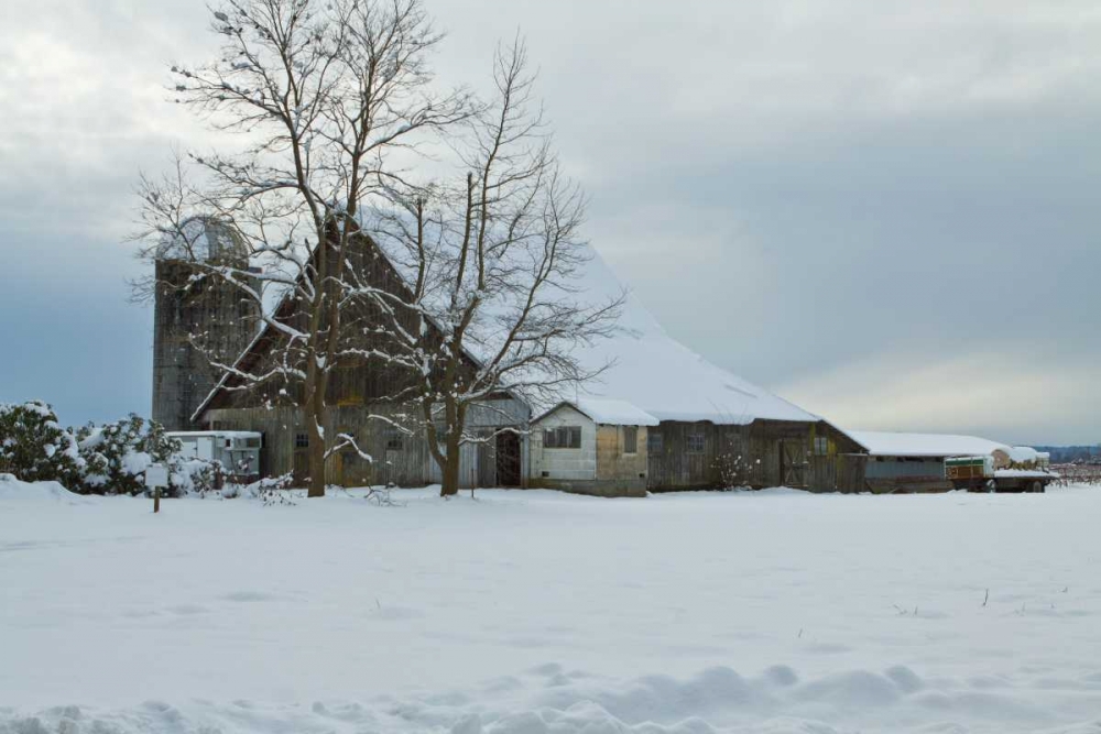 Winter Farm art print by Dana Styber for $57.95 CAD