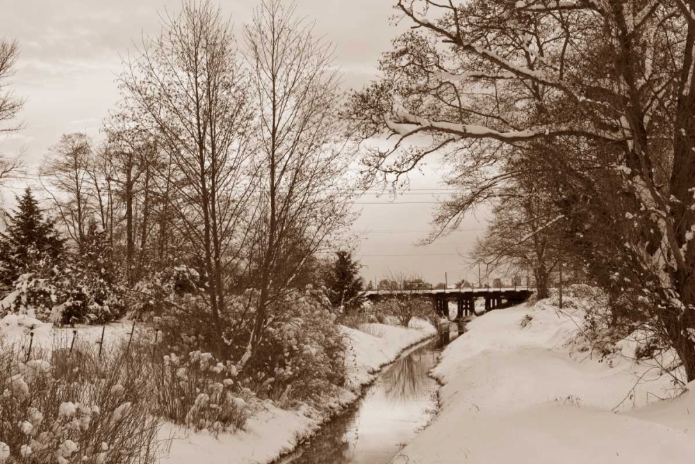 Winter Scenic I art print by Dana Styber for $57.95 CAD