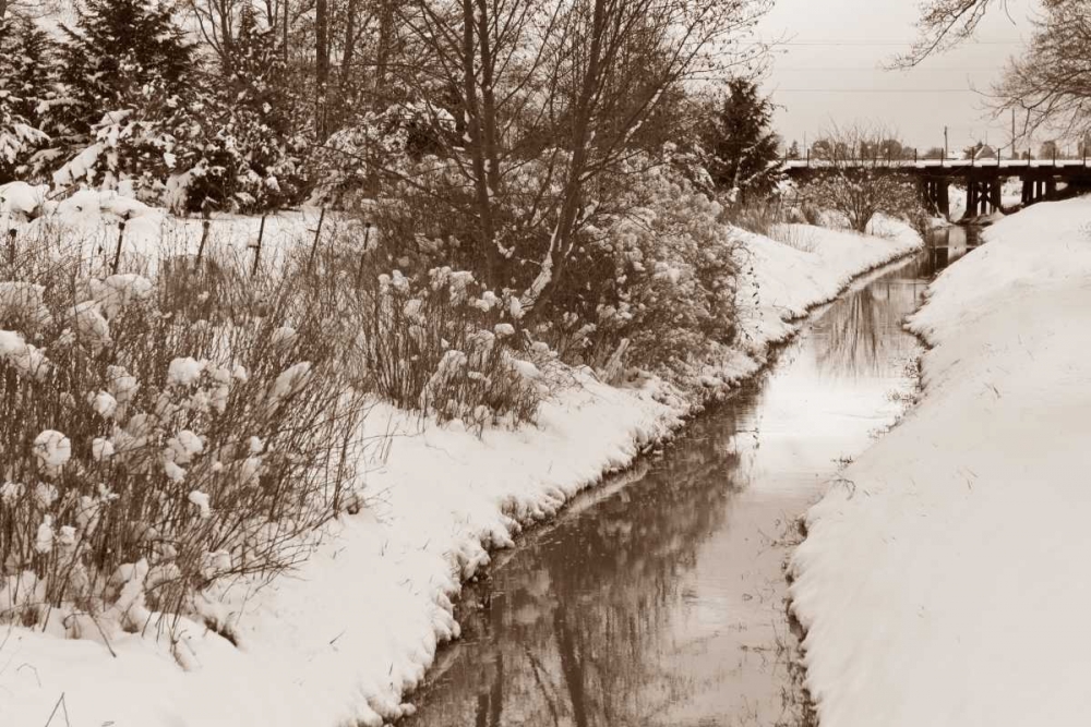 Winter Scenic II art print by Dana Styber for $57.95 CAD
