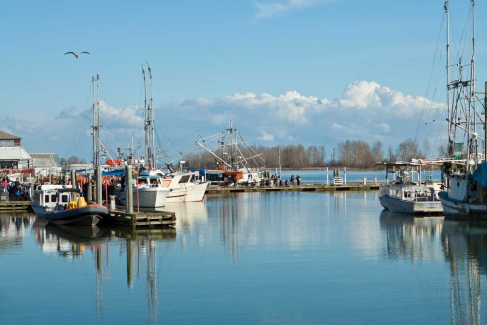 Steveston Scenic I art print by Dana Styber for $57.95 CAD