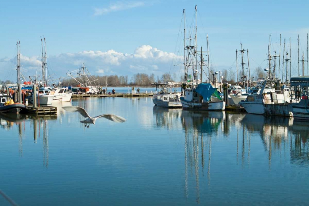 Steveston Scenic II art print by Dana Styber for $57.95 CAD