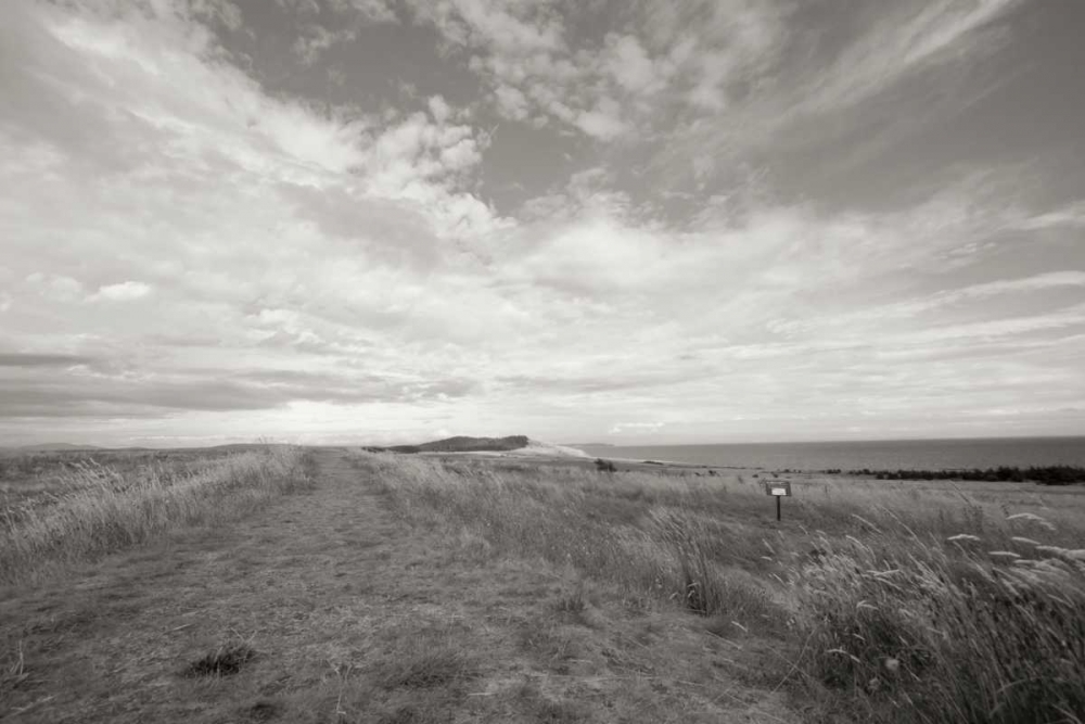 Bluff Path art print by Dana Styber for $57.95 CAD