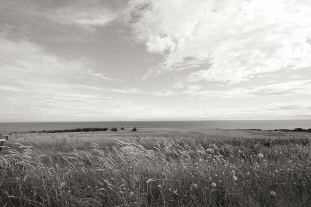 Bluff View art print by Dana Styber for $57.95 CAD