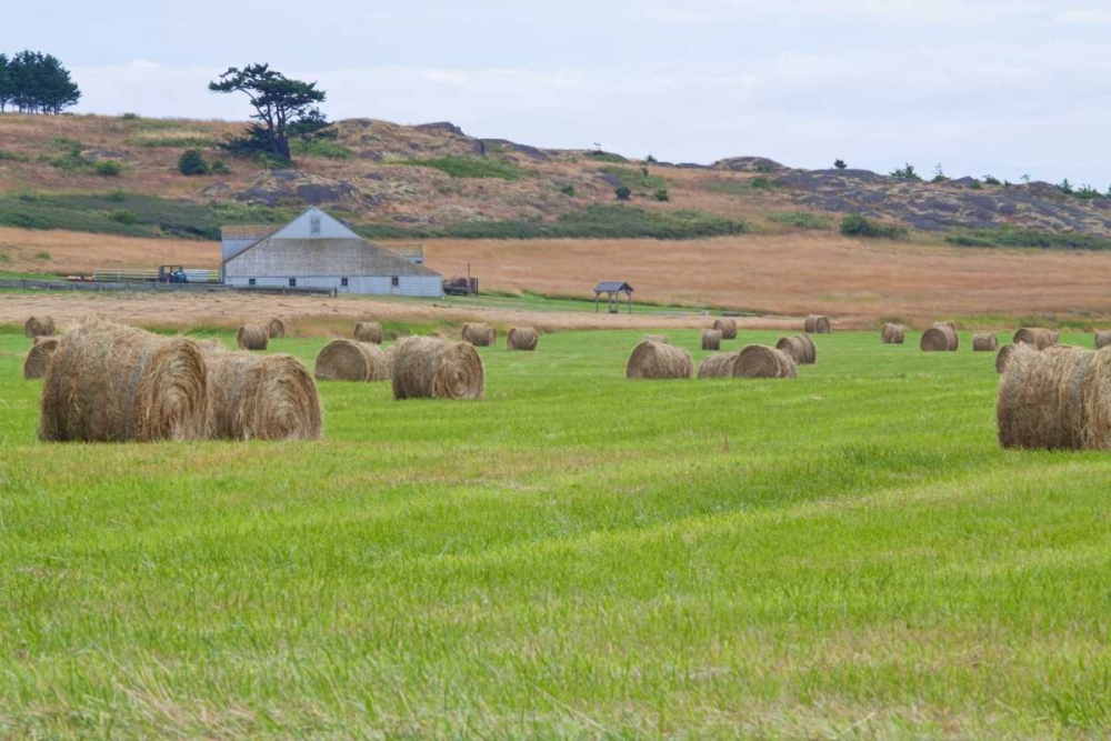 Hay Rolls II art print by Dana Styber for $57.95 CAD