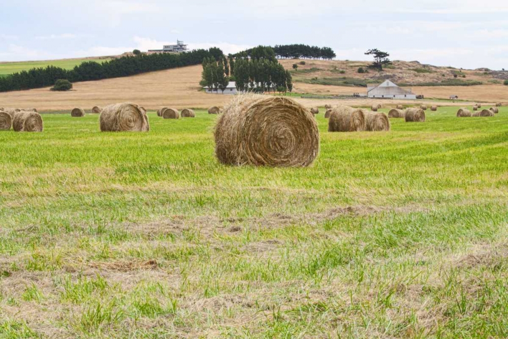 Hay Rolls III art print by Dana Styber for $57.95 CAD