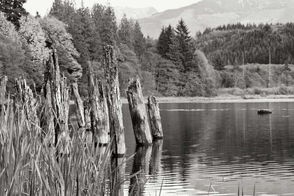 Baker Lake Pilings art print by Dana Styber for $57.95 CAD