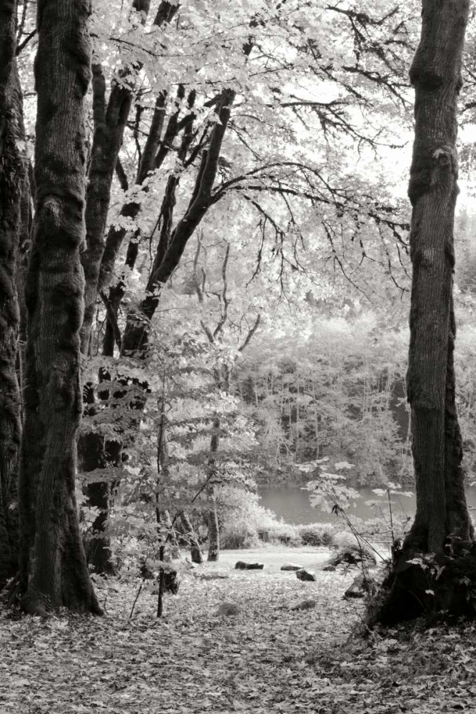 Baker Lake Trail II art print by Dana Styber for $57.95 CAD