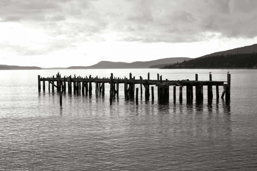 Lonely Dock art print by Dana Styber for $57.95 CAD