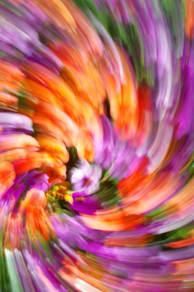 Plumage of Flowers art print by Douglas Taylor for $57.95 CAD