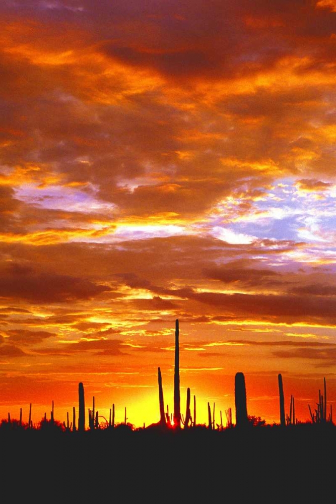 Sky a Fire I art print by Douglas Taylor for $57.95 CAD